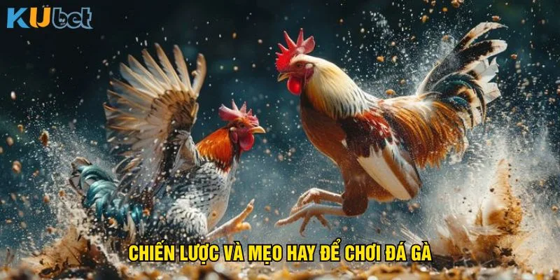 chien-luoc-va-meo-hay-de-choi-da-ga