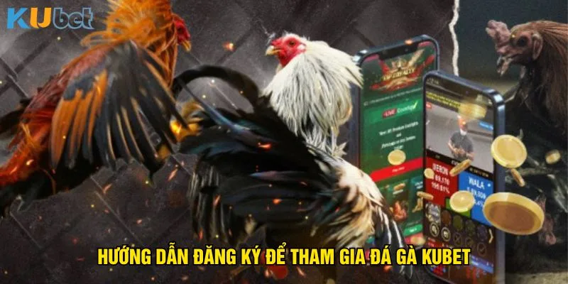 huong-dan-dang-ky-de-tham-gia-da-ga-kubet
